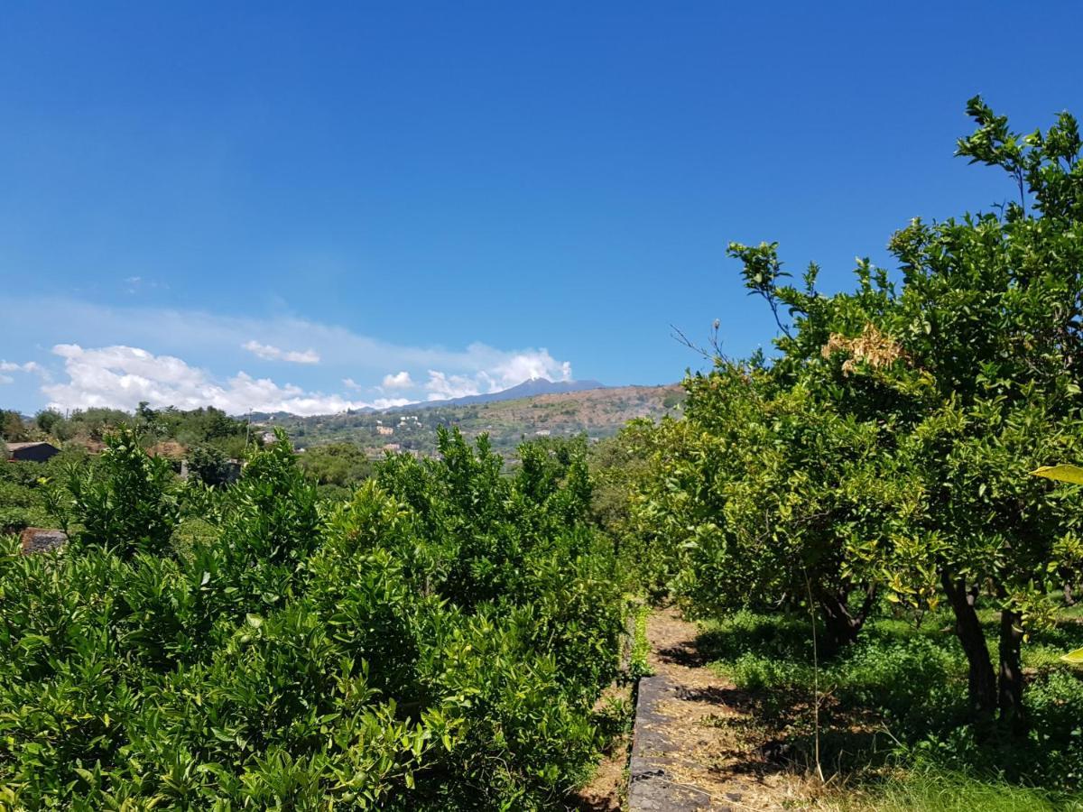 Agriturismo Le Case Di Civi Mascali Zewnętrze zdjęcie