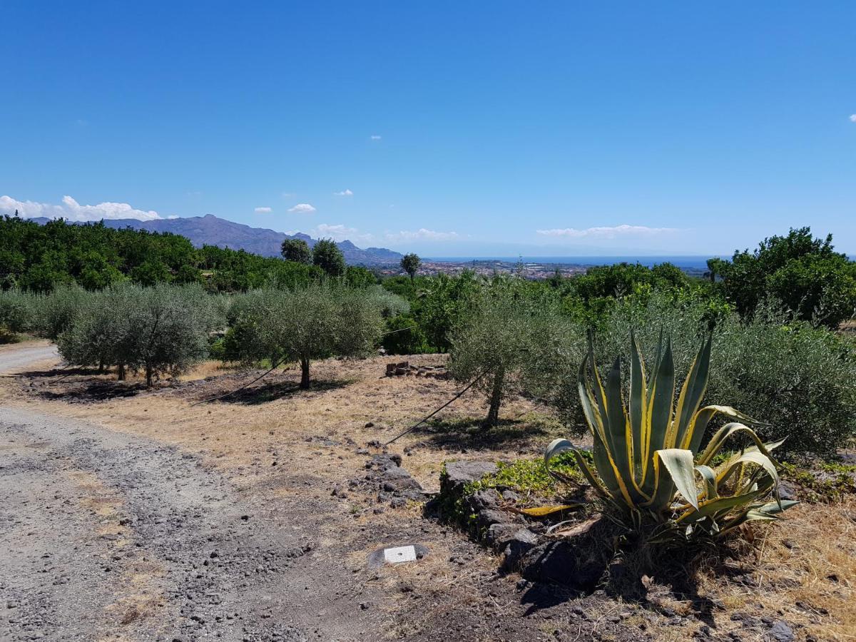 Agriturismo Le Case Di Civi Mascali Zewnętrze zdjęcie